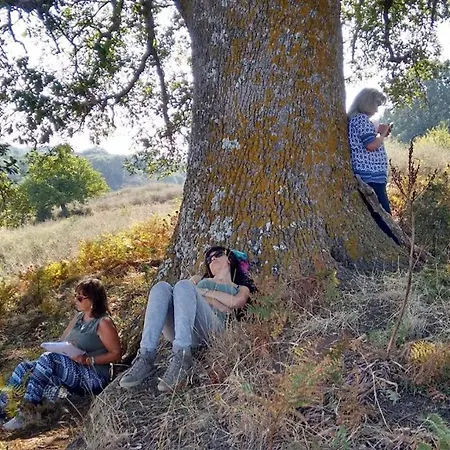 Bosco Pianetti Farm stay *
