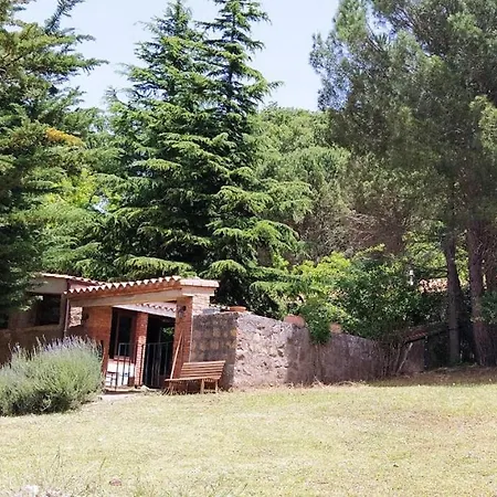 Farm stay Bosco Pianetti *
