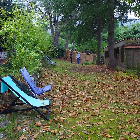 Bosco Pianetti Farm stay *