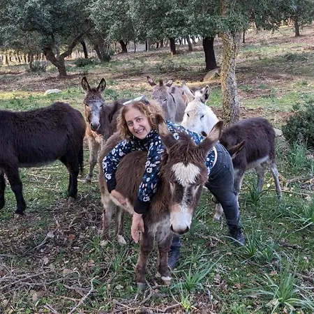 Bosco Pianetti Farm stay *