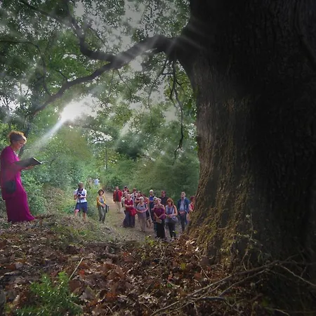Gospodarstwo agroturystyczne Bosco Pianetti Santuario di Gibilmanna