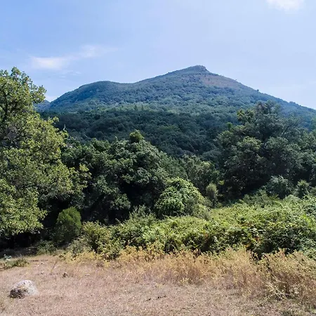 Bosco Pianetti