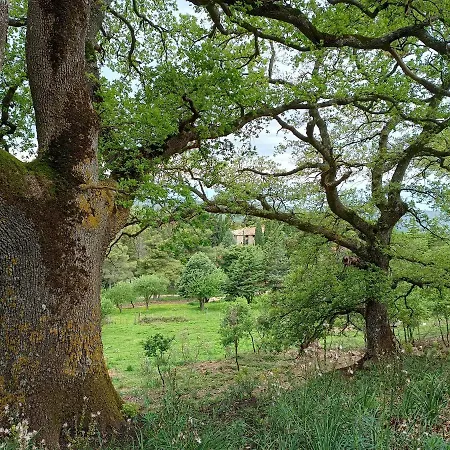 Farm stay Bosco Pianetti