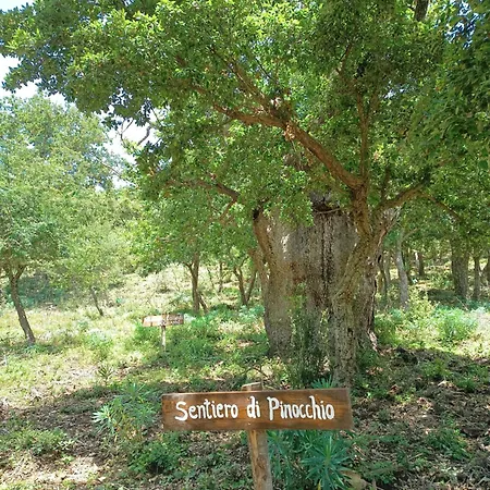 Farm stay Bosco Pianetti *