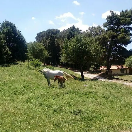 Bosco Pianetti Farm stay Santuario di Gibilmanna