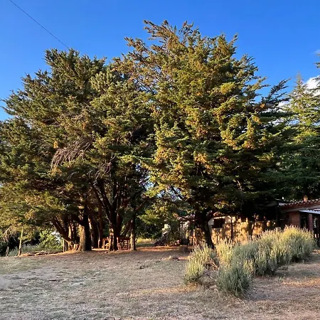 Alloggio per agriturismo Bosco Pianetti