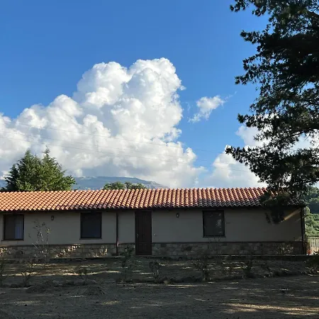 Bosco Pianetti * Santuario di Gibilmanna