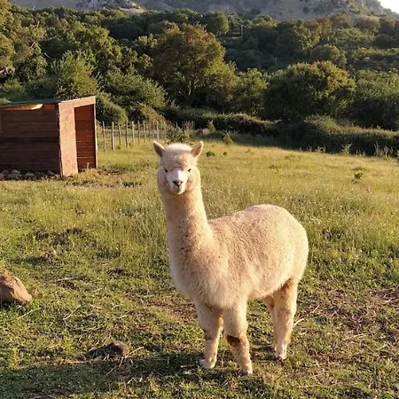Bosco Pianetti Alloggio per agriturismo