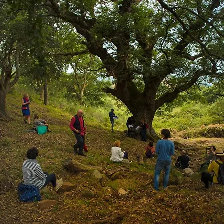 Bosco Pianetti Santuario di Gibilmanna
