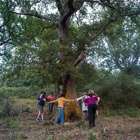 Bosco Pianetti Alloggio per agriturismo Santuario di Gibilmanna