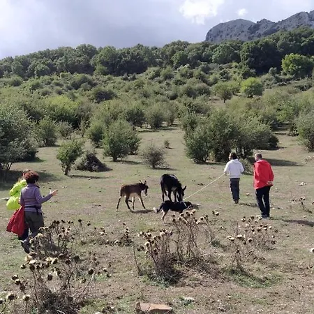 Bosco Pianetti * Santuario di Gibilmanna