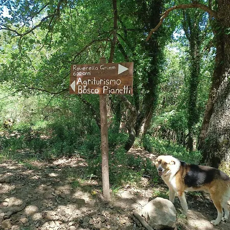 Bosco Pianetti Bauernhof Santuario di Gibilmanna