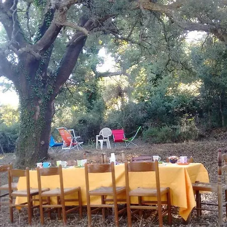 Bosco Pianetti Santuario di Gibilmanna