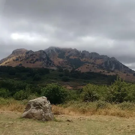 Bauernhof Bosco Pianetti